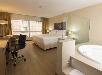 Holiday Inn Montevideo