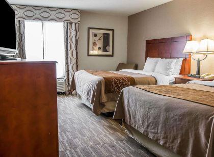 Comfort Inn & Suites University South