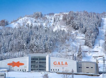 ホテルメトロポリタン高崎