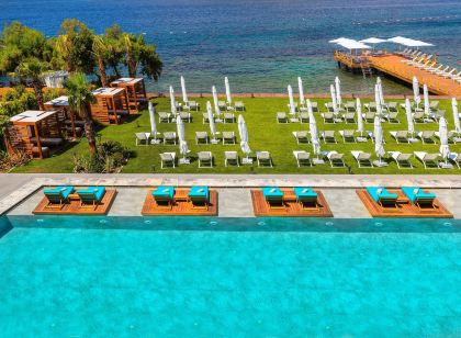 Arts Hotel Bodrum Yalikavak