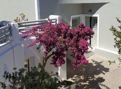 Atlas Pension