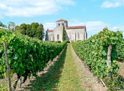 Les Coteaux de Jonzac