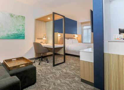 스프링힐 스위츠 바이 메리엇 탤러허시 노스