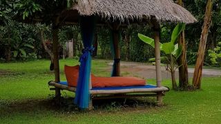 mango-tree-inn