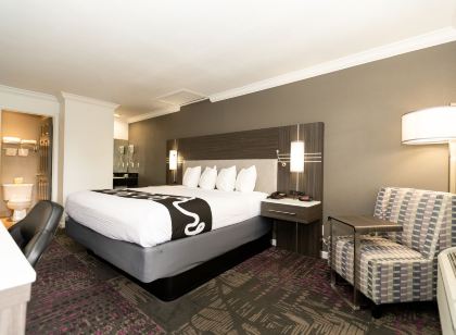 Rodeway Inn San Jose Hwy-101 Tully Rd Exit