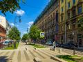 nevsky-aster
