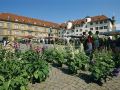 ibis-stuttgart-centrum