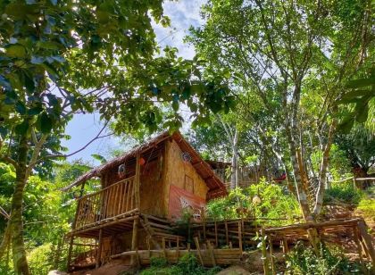 Singalong Nature Camphill Site