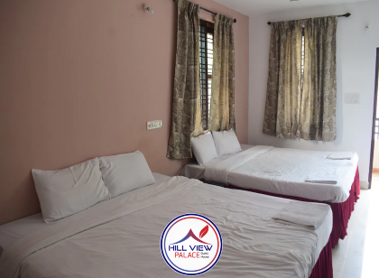 Hill View Palace Guest House