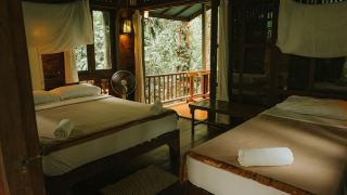 our-jungle-house