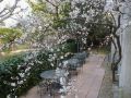 hotel-ulysse-montpellier-centre