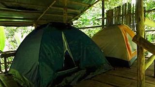 lupa-masa-jungle-camp