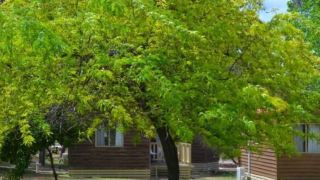 albury-gardens-tourist-park