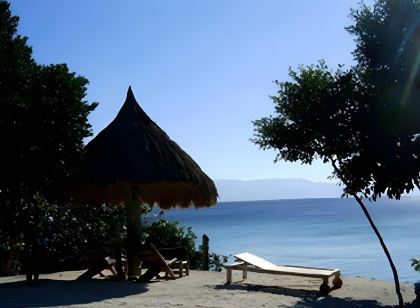 Sea Turtle House Moalboal