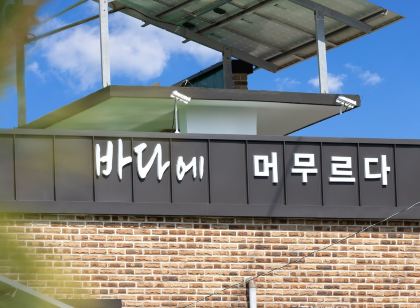 동해 바다에머무르다