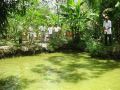 le-garden-villa-homestay
