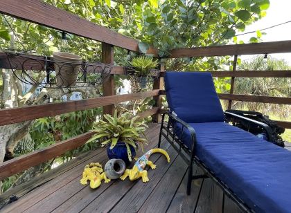 Treehouse Apartment Rentals