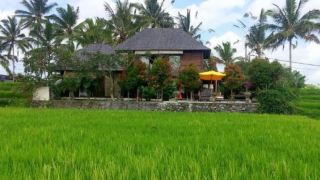 villa-padi-menari