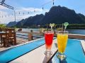 funny-monkeys-homestay