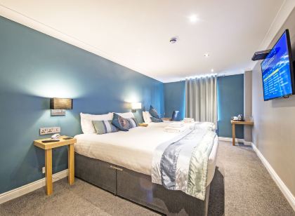 Dolphin Rooms