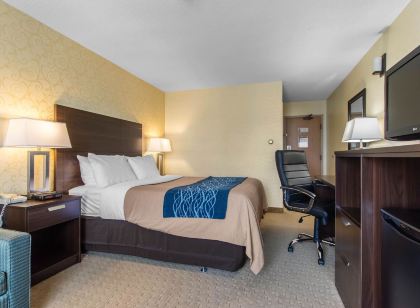 Comfort Inn