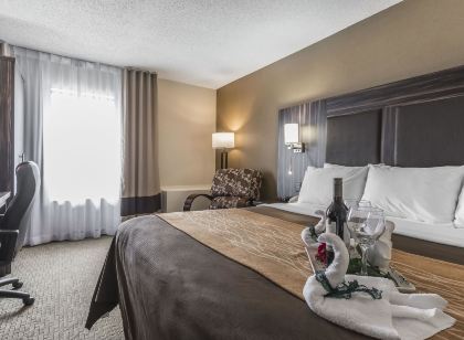 Comfort Inn Trenton