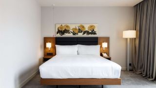 hilton-garden-inn-tbilisi-chavchavadze