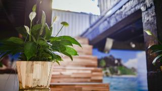sunflower-quang-binh-hostel