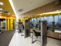 trang-s-apartment