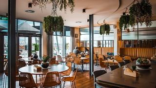 shoreline-hotel