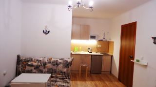 apartments-on-prospekt-dzerzhinskogo-238