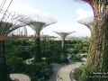diamond-hotel-singapore-staycation-approved