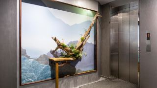 dandy-hotel-tianmu-branch