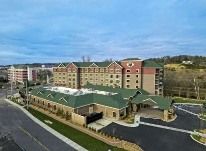 Black Fox Lodge Pigeon Forge, Tapestry Collection by Hilton