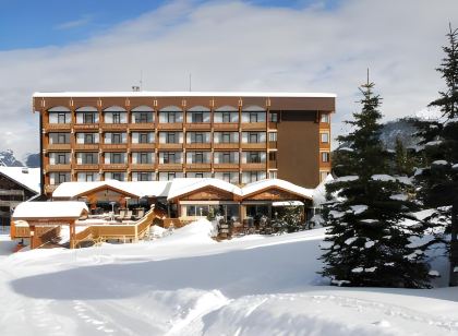 Alpes Hôtel Pralong