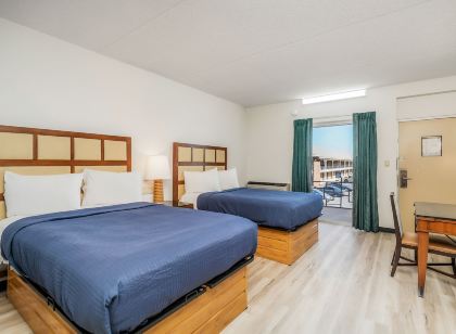 科克維爾長期住宿套房 - 田納西科技