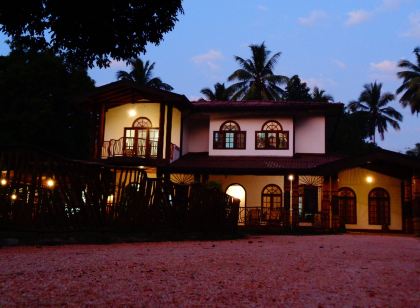 Xotic Resort