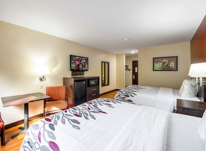 레드 루프 인 샌 마르코스