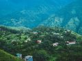 buransh-a-village-homestay-in-shimla-hills