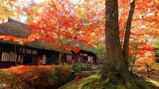 kanmuheishiyukarinoyado-ageha
