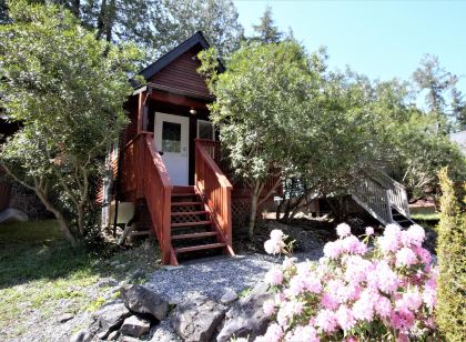 Cozy Cabin Near Walking Trails and Beaches!