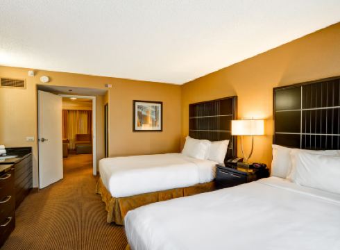 Embassy Suites by Hilton Chicago Downtown River North