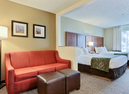 Comfort Suites Airport