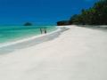 turtle-island-fiji