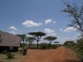 ikoma-tented-camp