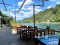funny-monkeys-homestay
