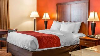 quality-inn