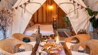 jinju-camping-society