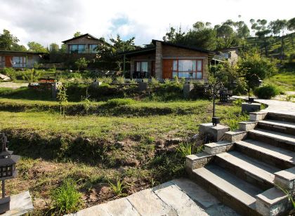 Seed at Queens Meadows, Ranikhet