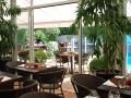amarante-cannes